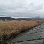 Amigos * デニア